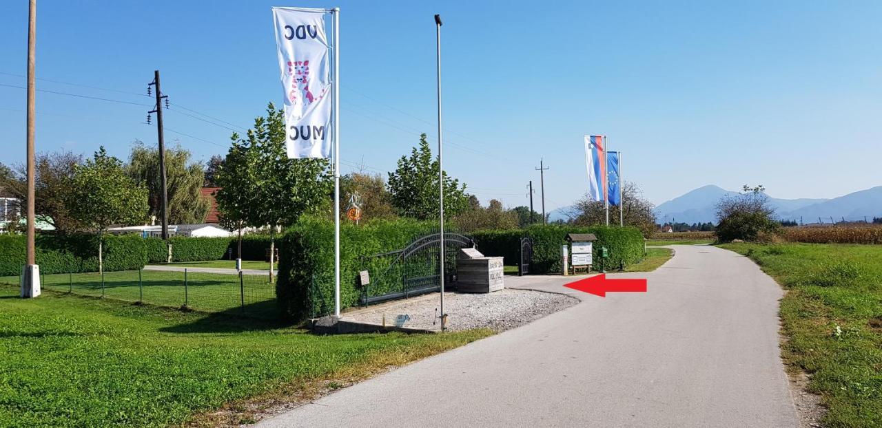 Guesthouse Braslovce - Celje Buitenkant foto