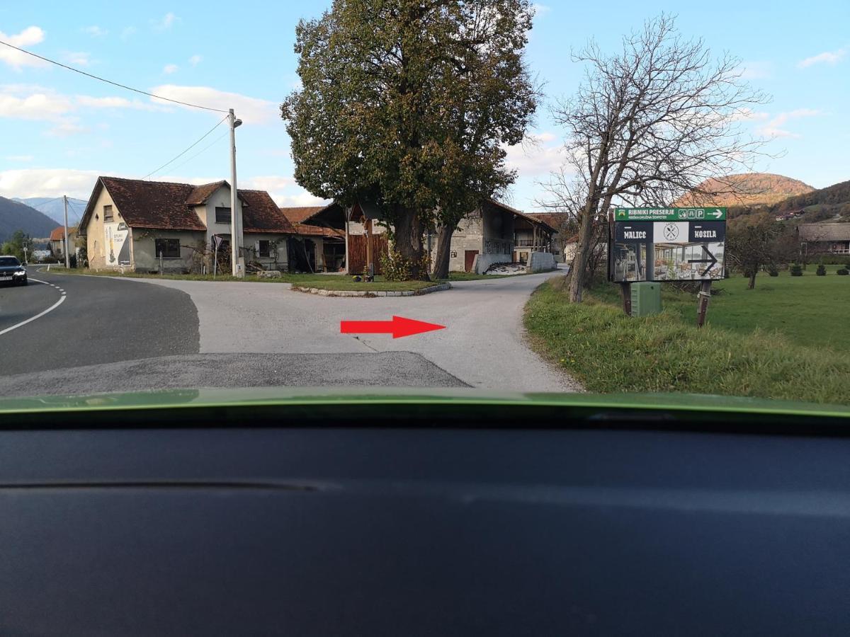 Guesthouse Braslovce - Celje Buitenkant foto
