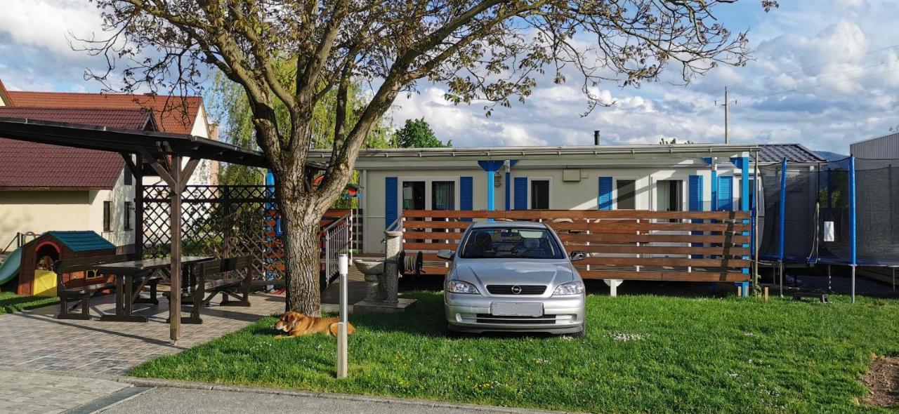 Guesthouse Braslovce - Celje Buitenkant foto
