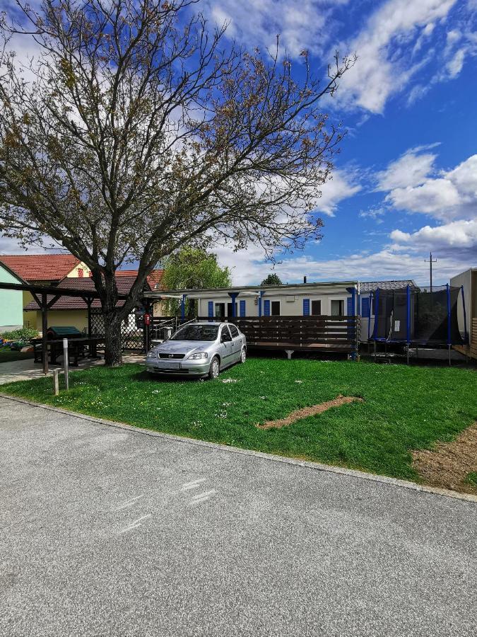 Guesthouse Braslovce - Celje Buitenkant foto