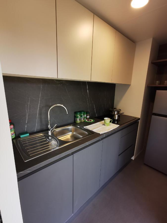 Guesthouse Braslovce - Celje Buitenkant foto