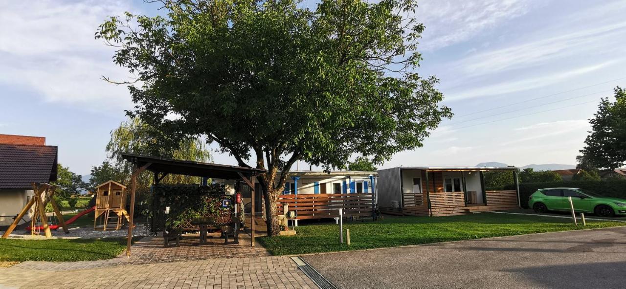 Guesthouse Braslovce - Celje Buitenkant foto